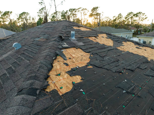 Roof Coating Services in Woodacre, CA