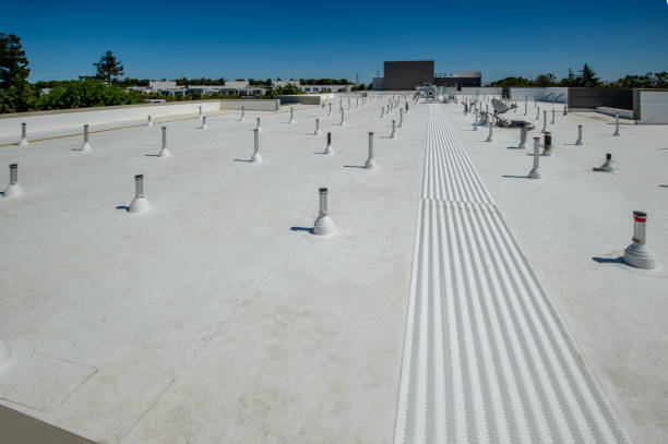 Best Roof Inspection  in Woodacre, CA